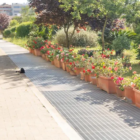 The House Aeroporto Gasthuis Fiumicino